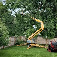Best Hazardous Tree Removal  in Cross Plains, TN