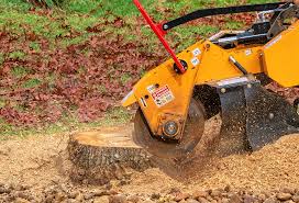 Best Lawn Watering Services  in Cross Plains, TN